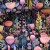 night_blossom.jpg