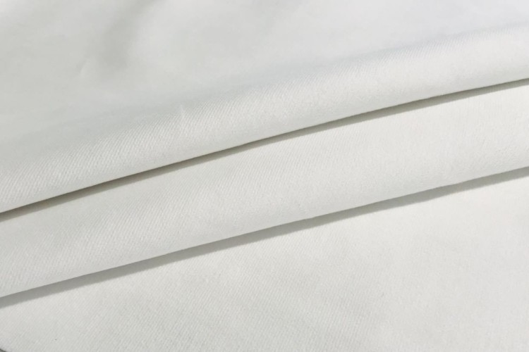 459188494_1062616995437400_4871141574369953015_n-1-.jpg