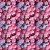 497921401_1065457695449752_6378032087667711464_n.jpg