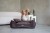 DSC_0019 2.jpeg