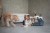 DSC_0917.jpeg