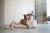 DSC_0772.jpeg