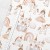golden_kingdom_size.jpg