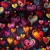 lots_of_love.jpg