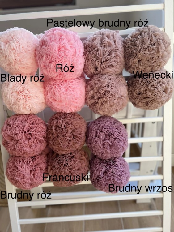 pompony.jpg