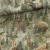 mcolors_great_old_forest_ftsj.jpg