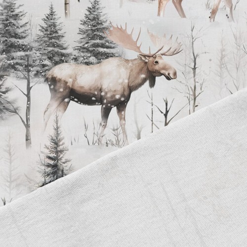snowy_forest_size_ft.jpg