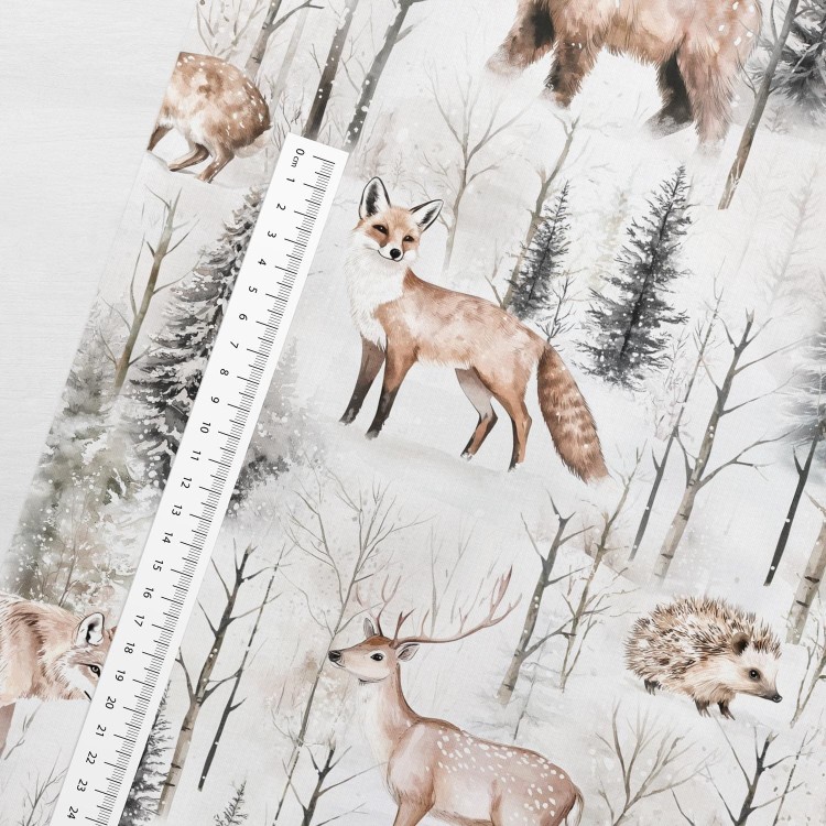 snowy_forest_size_ftsj.jpg