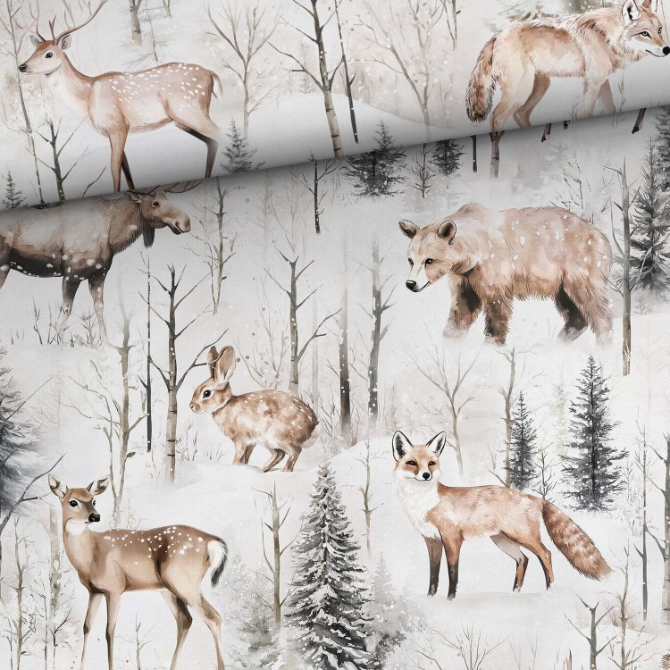 snowy_forest_size_tfsj.jpg