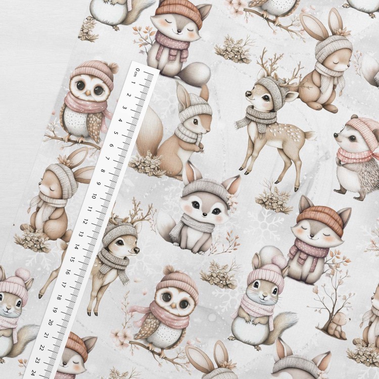 sugar_snowland_size_ftsj.jpg