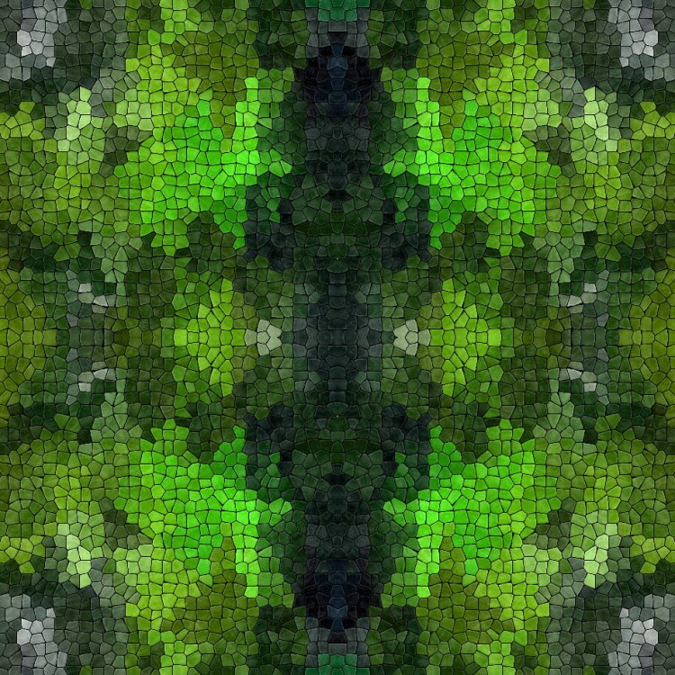 634866074_1450060510463071_4474820496247161440_n.jpg