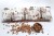 il_fullxfull.2016730418_3bqo.jpg